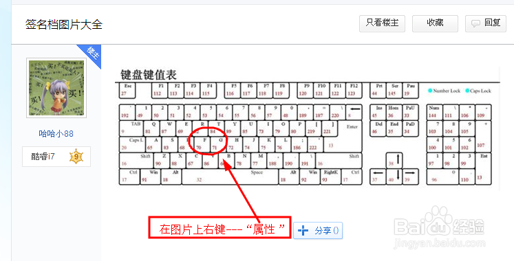 限引用贴吧、空间的图片解决方法