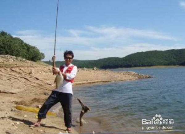 什么是台钓？手钓和悬浮坠钓法与台钓有区别吗