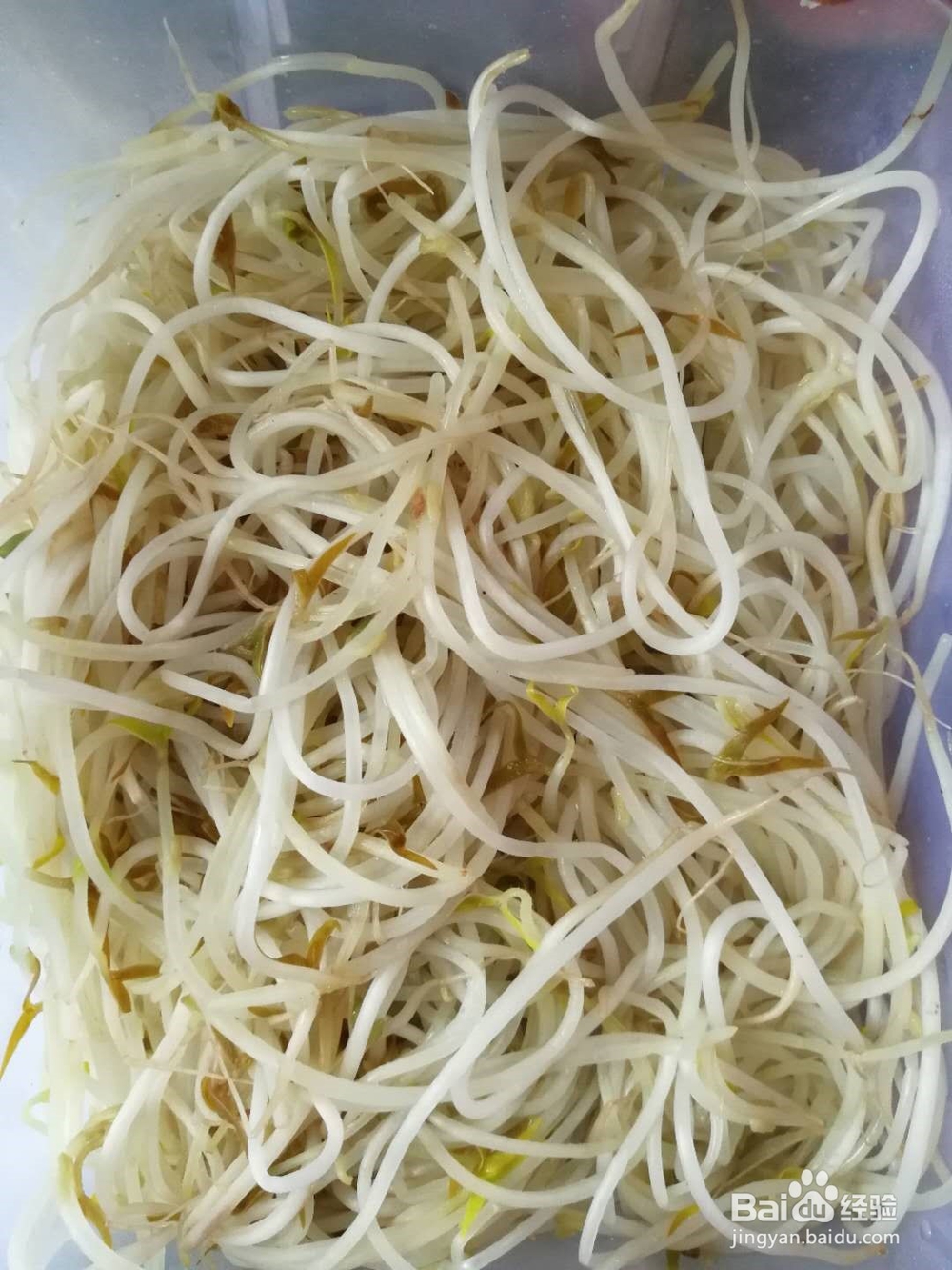 如何做豆芽好吃