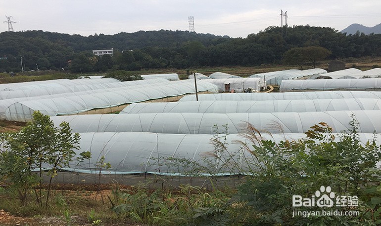 长沙周边好的农家乐