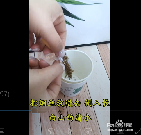 植物变黄了怎么办呢？