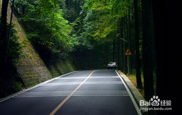 高速公路行车常识?