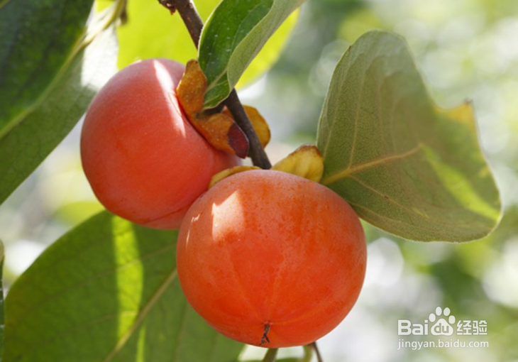 哪些食物不适合空腹吃？