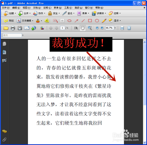 PDF文件如何裁剪页面？