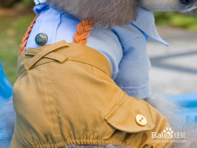 泡泡糖黏到衣服上怎么弄