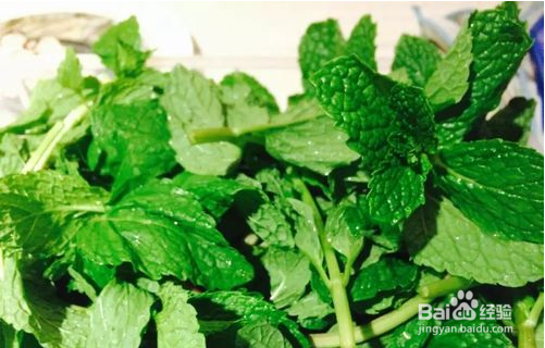 怎样制作的莫吉托最好喝?这样。