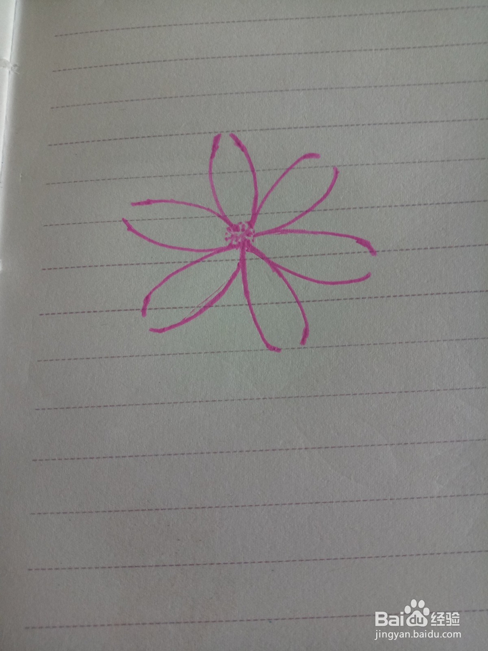 用彩色荧光笔画樱花