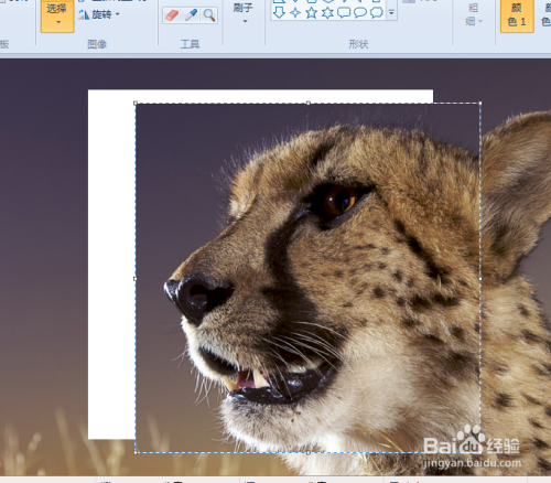 教你用画图工具PS的小技巧