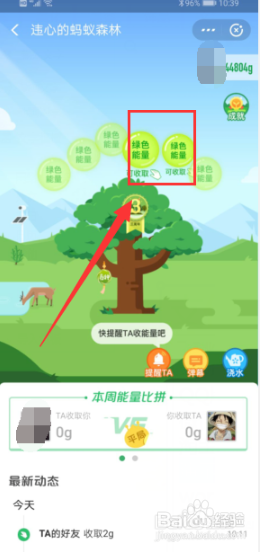 支付宝蚂蚁森林怎么收取能量