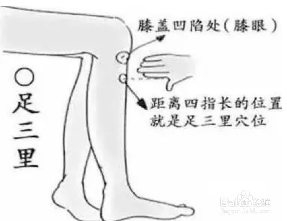 养生减肥的正确打开方式