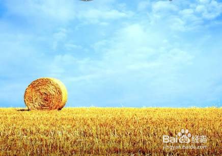 新高考怎么去选科