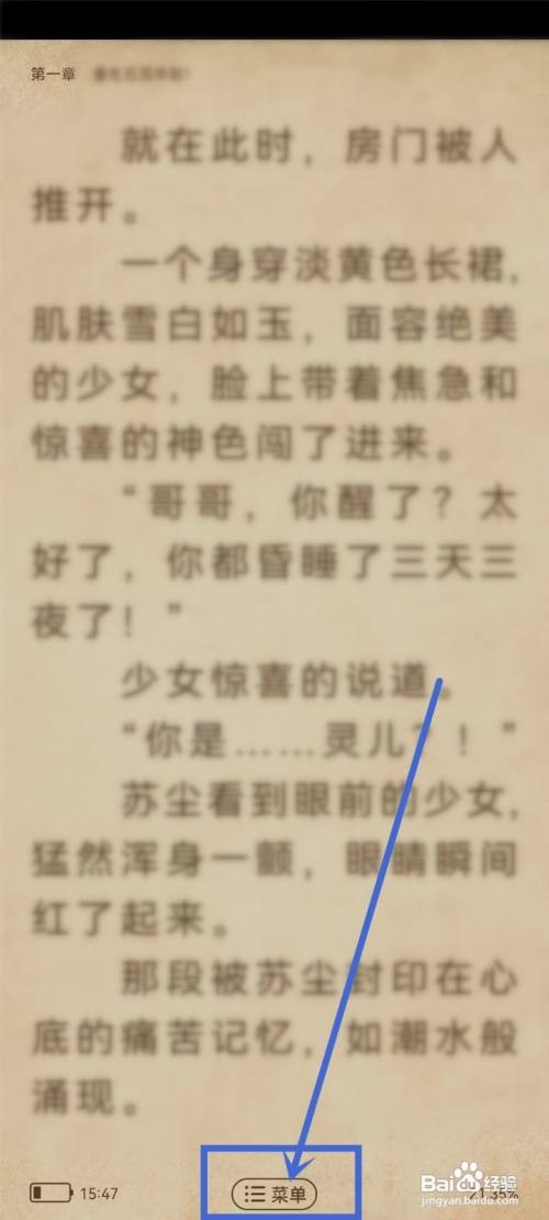 如何使用必看小说APP查看书签？