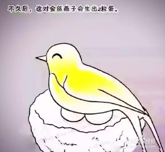 燕窝含有激素吗