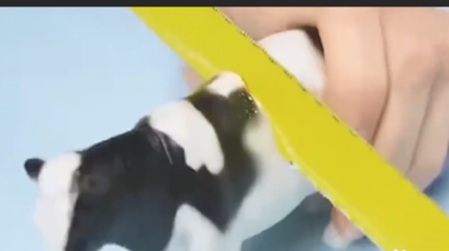 家里废旧的玩具还有哪些用处？