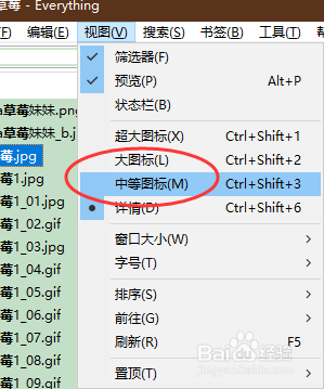 everything软件怎样设置使用缩略图查看文件