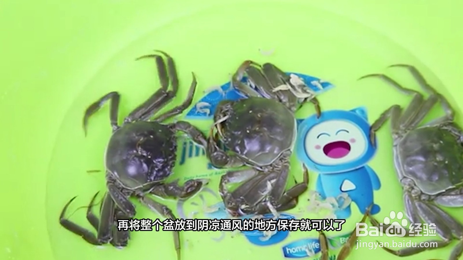 收到的活蟹怎么保存