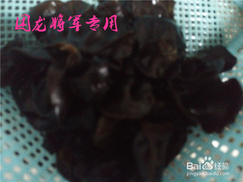 家常菜生瓜木耳炒肉片