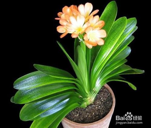 实物资产清查方法