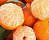 砂糖桔的功效与作用