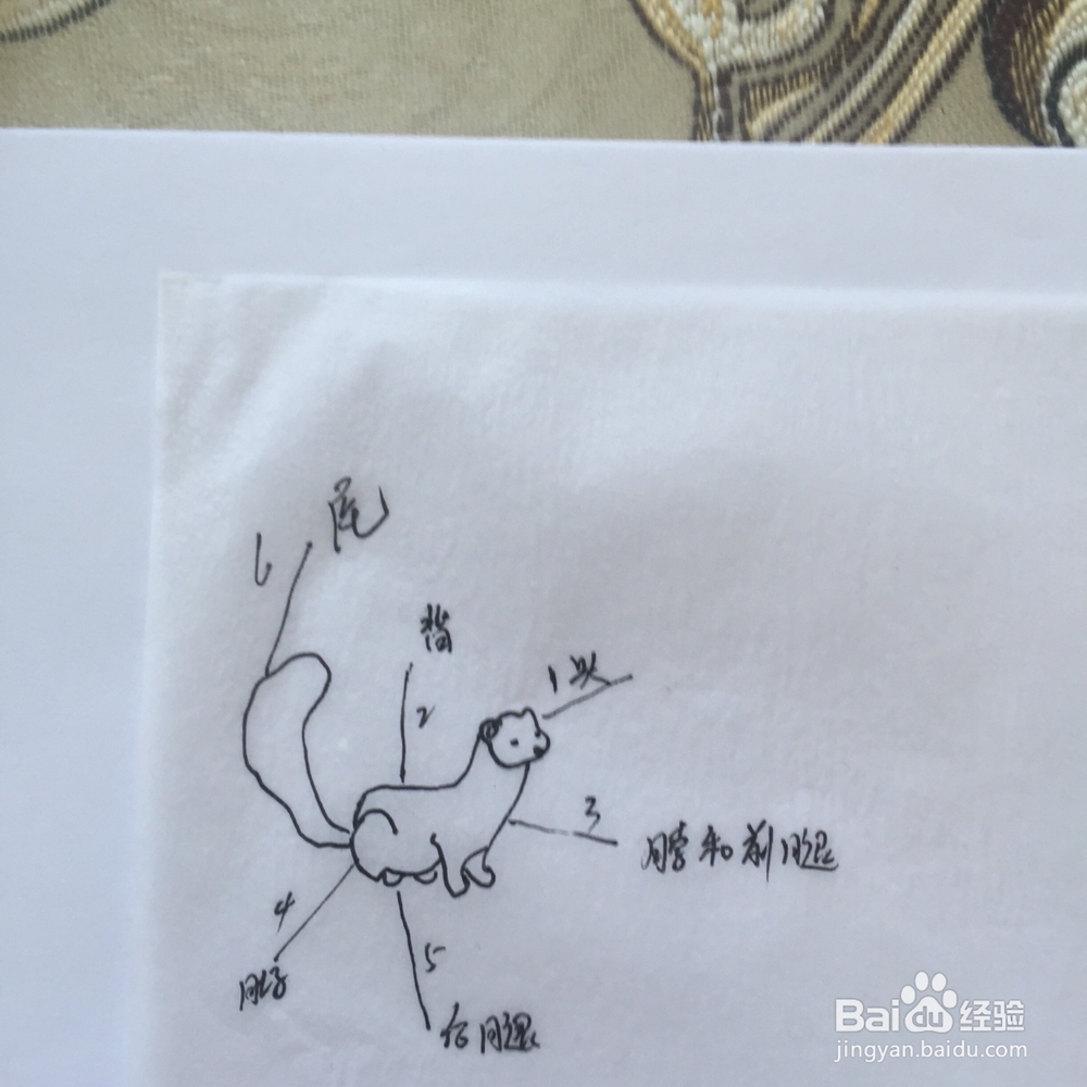 怎样画出好看的又鼬