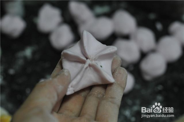 家庭自制水晶虾饺