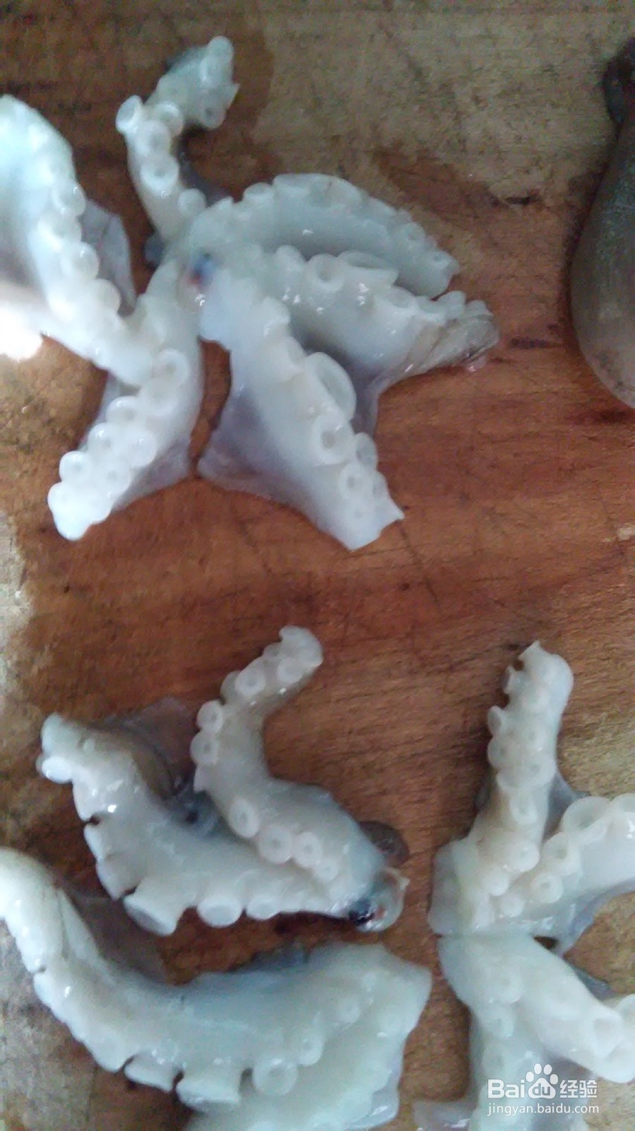 章鱼炖萝卜的做法