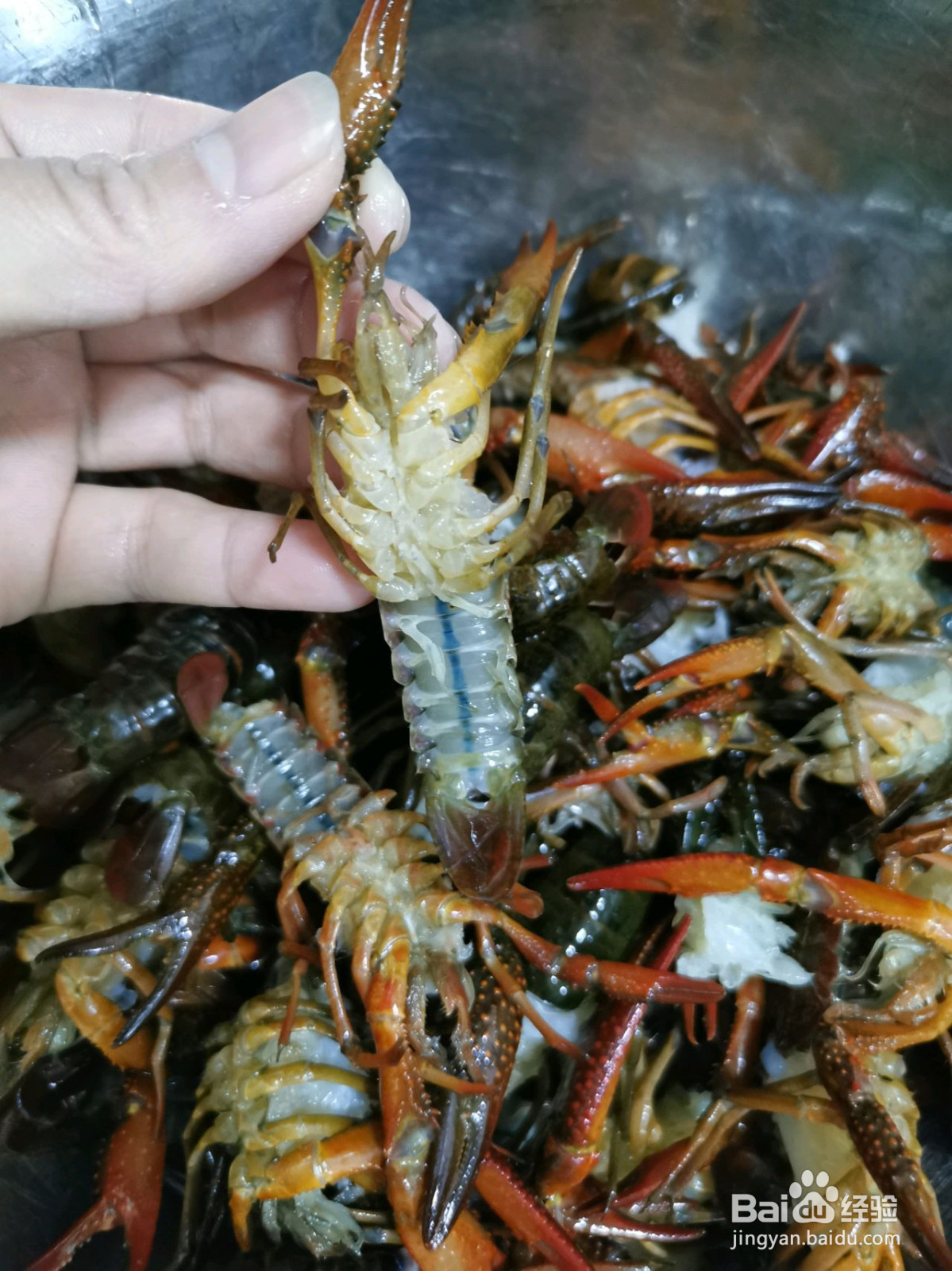 龙虾鸡爪煲的做法