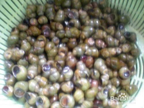 螺蛳表面清洗的方法