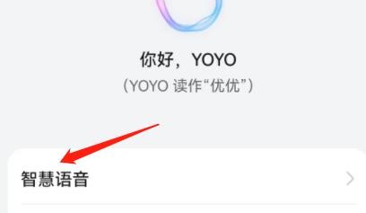 怎么修改AI字幕背景透明度