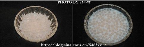 水果西米捞怎么做