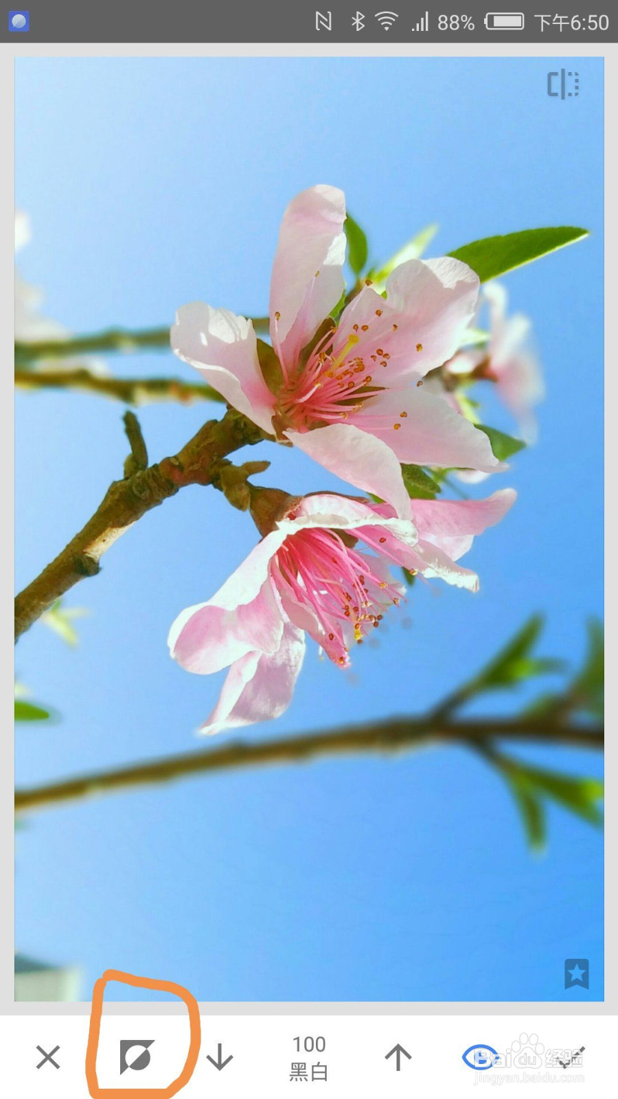 如何用snapseed进行图片的局部色彩保留