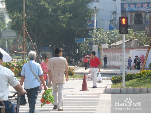 怎样注意交通安全在路上行驶