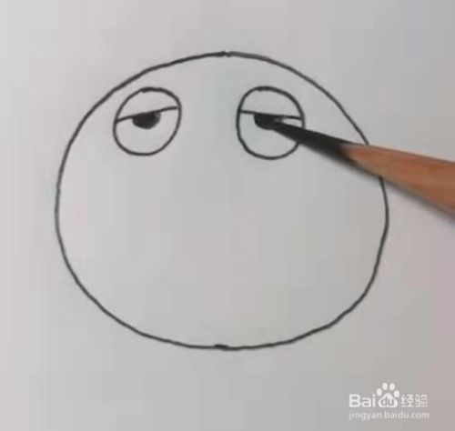 简笔画生气的小海豹 百度经验