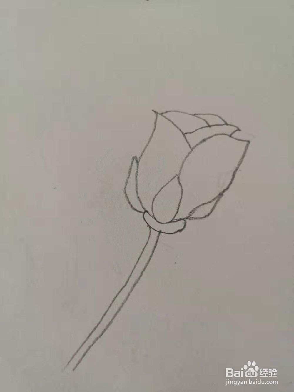 如何画玫瑰花简笔画