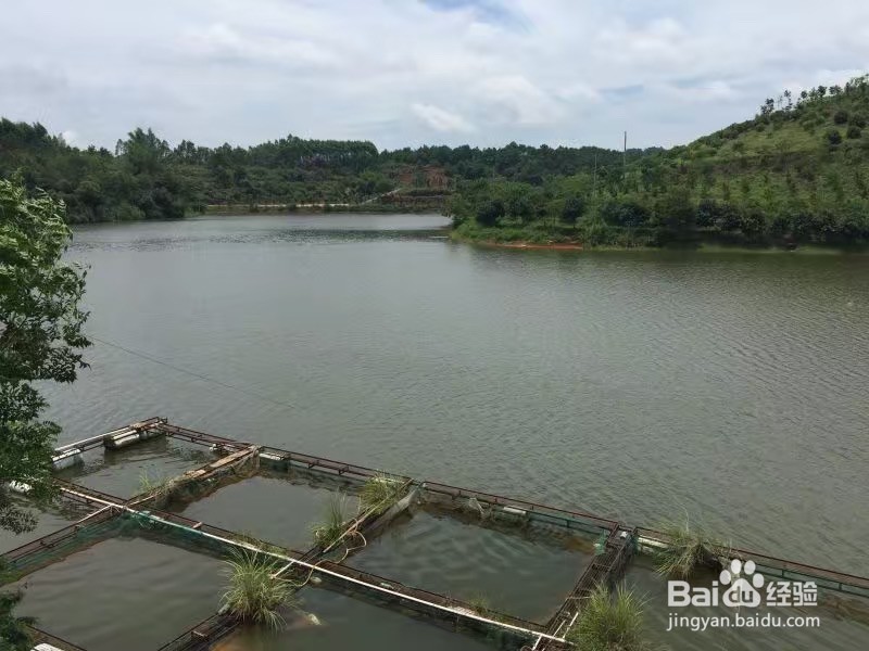 螺虫乙酯使用注意事项