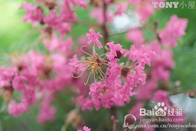 换个手法做凉拌豆腐----30道菜让你今年秋天换个方式贴秋膘