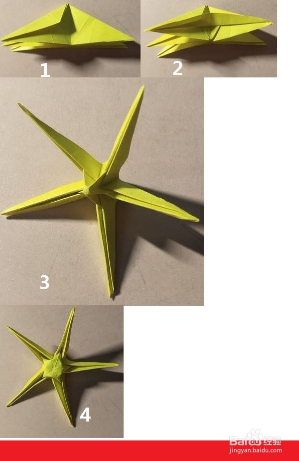 金色的大小正反都是漂亮的五角星美丽花