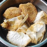 怎么做黄芪猴头菇鸡汤