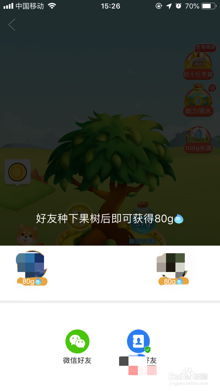 拼多多果园为什么不能偷朋友的水？多多果园种树
