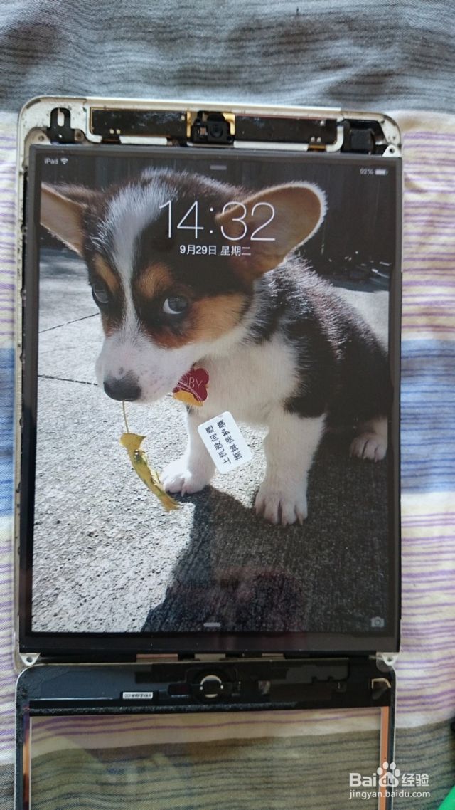 为iPadmini更换显示屏[图]