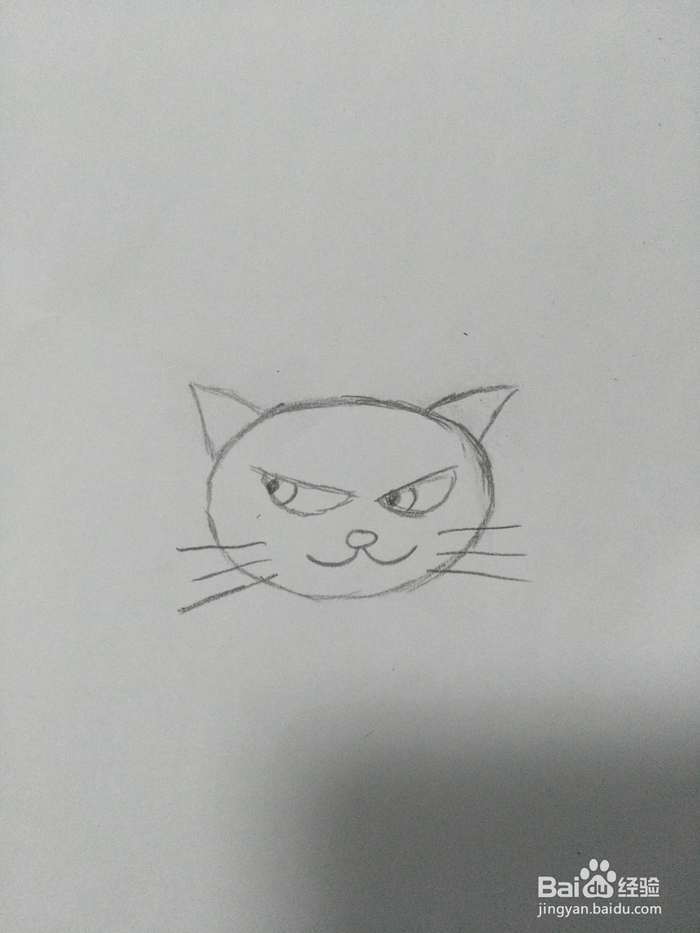 简笔画——可爱小猫咪的画法