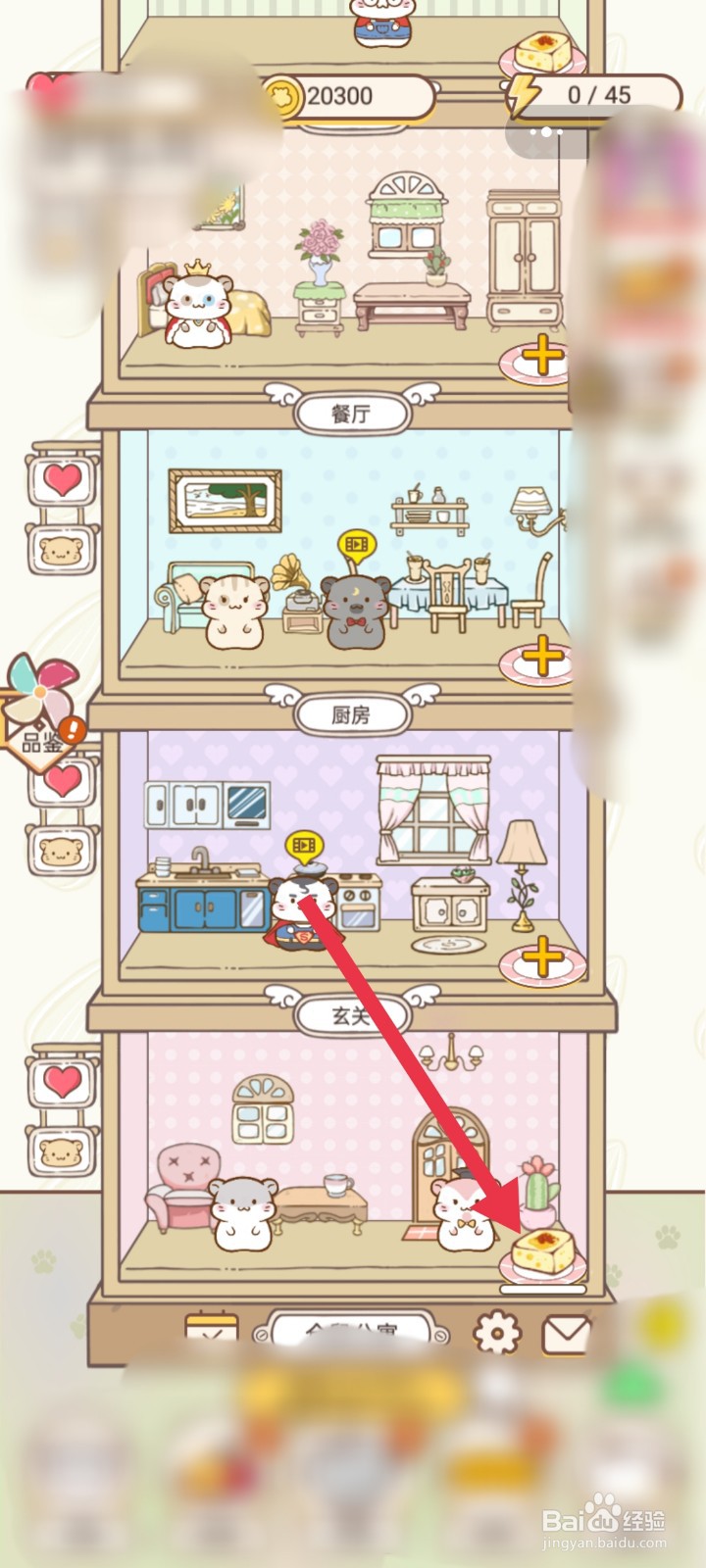 仓鼠公寓怎么购买食物喂养仓鼠