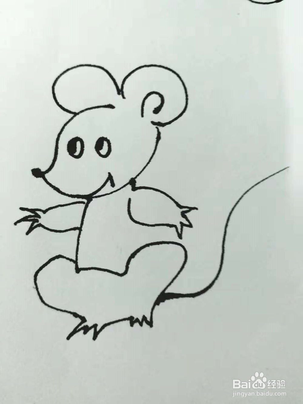 老鼠的简笔画法4