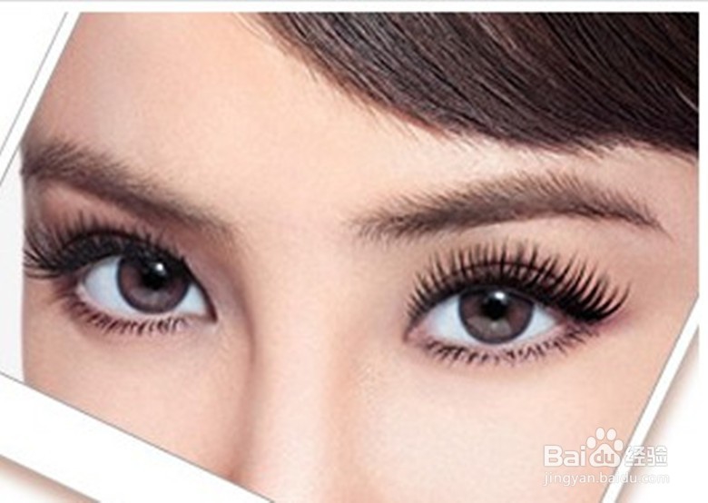 种睫毛与烫睫毛的区别？