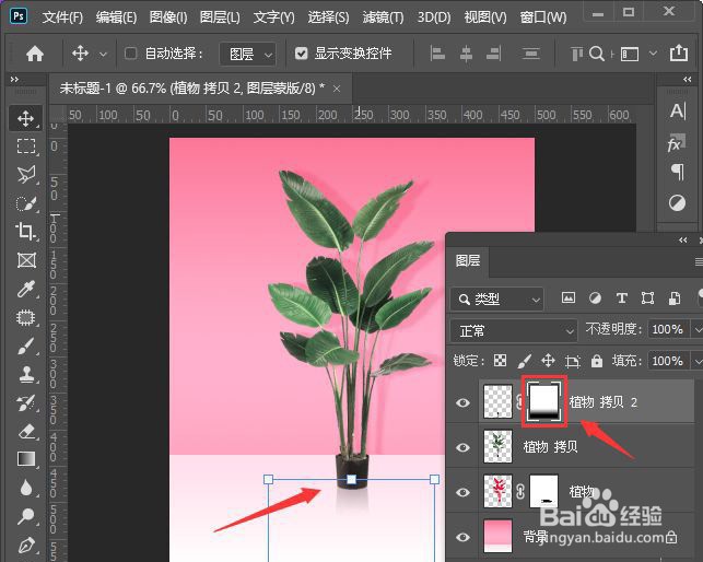 ps怎么给植物加阴影