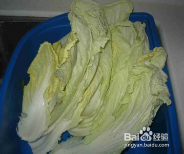 快速解酒小妙招 大白菜解酒法