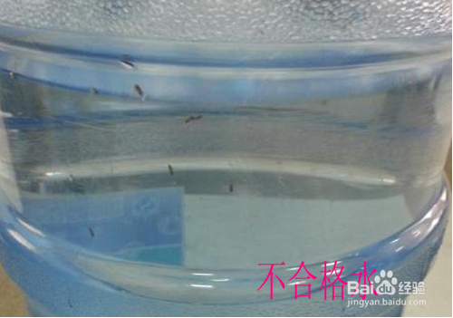 如何选购桶装水