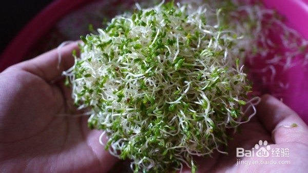 口臭怎么办?去除口臭的9个小妙招。