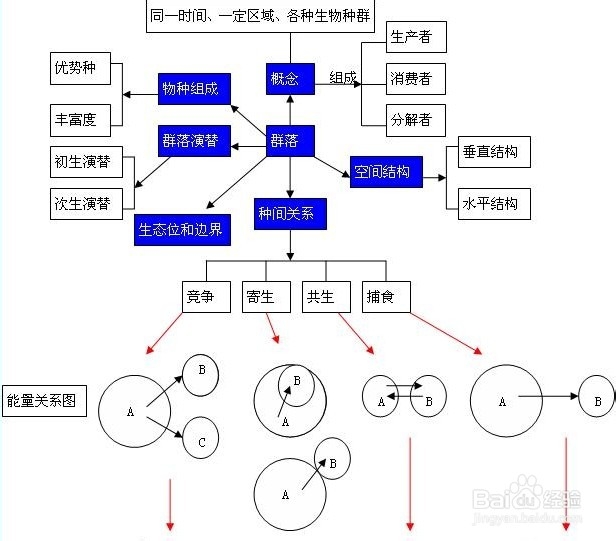 高中生物学习方法：[24]种群与群落（3）