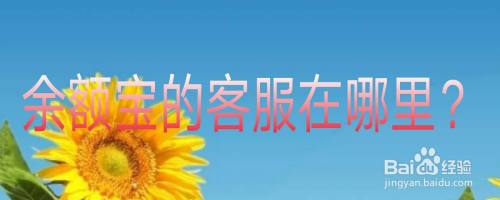 怎么联系余额宝客服？